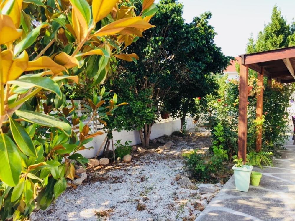 Artist Cottage In Dromolaxia Larnaca Extérieur photo